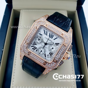 Cartier Santos Dumont (05801)