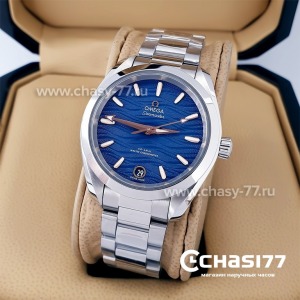 Omega Seamaster Aqua Terra (20404)