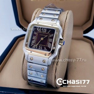 Cartier Santos Dumont (18116)