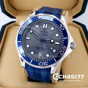 Omega Seamaster Planet Ocean (21119)
