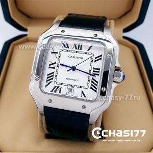 Cartier Santos Dumont (22422)