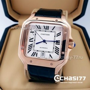 Cartier Santos Dumont (22423)