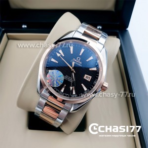 Omega Seamaster Aqua Terra (10738)