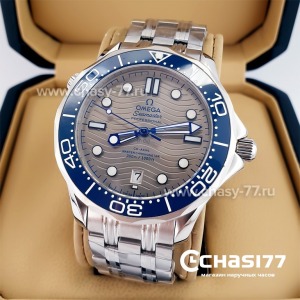 Omega Seamaster (22839)