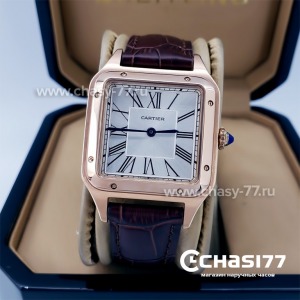 Cartier Santos Dumont (18061)