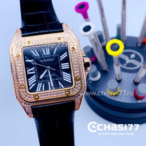 Cartier Santos Dumont (15368)