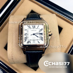 Cartier Panthere (09768)