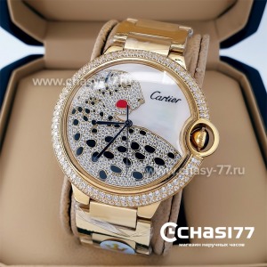 Cartier (20669)