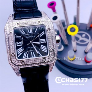 Cartier Santos Dumont (15369)