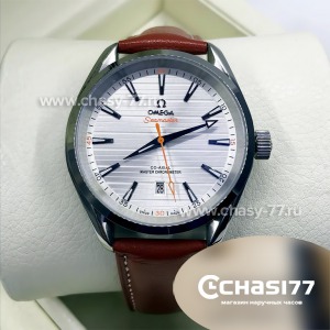 Omega Seamaster Aqua Terra (09588)