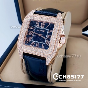 Cartier Panthere (10195)