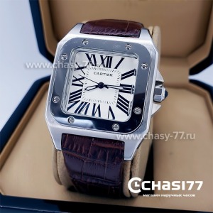Cartier Santos Dumont (18096)